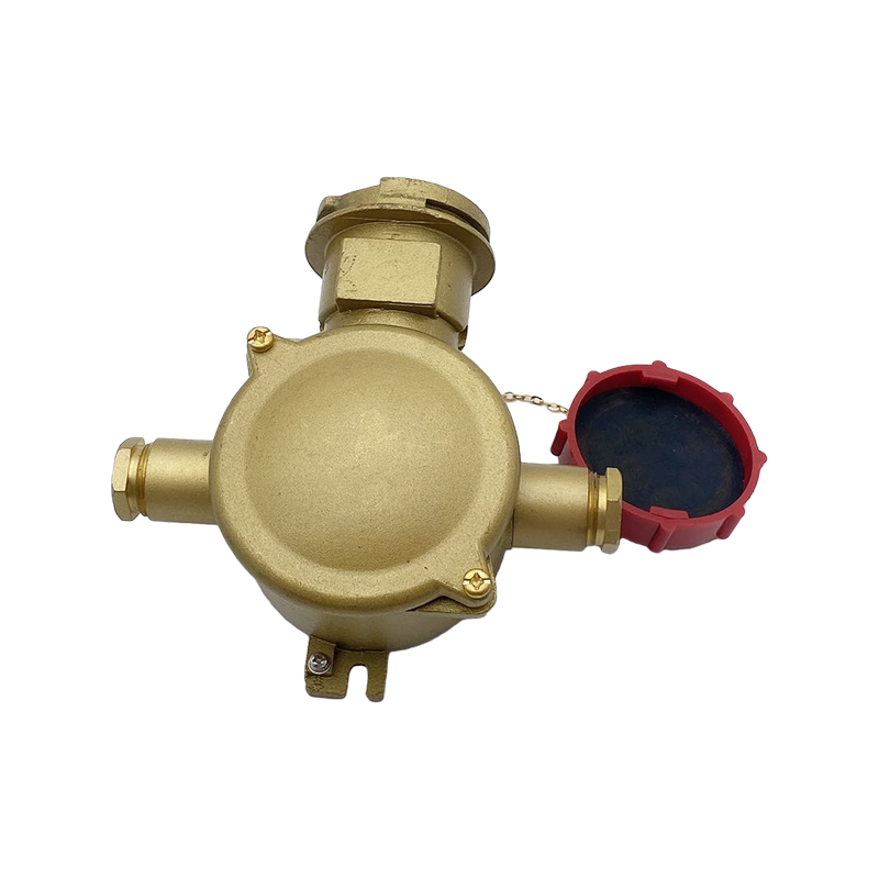 Steckdose aus Messing mit Verriegelungsschalter-CZS3-2 1I4